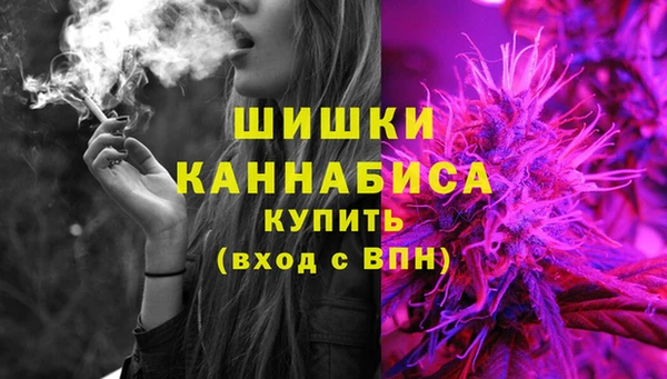 дмт Алзамай