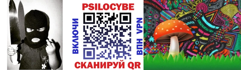 Псилоцибиновые грибы Cubensis Алексин