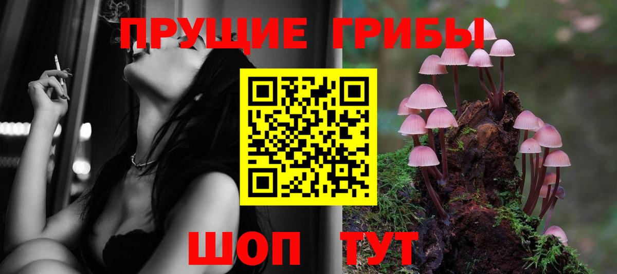 Псилоцибиновые грибы MAGIC MUSHROOMS Алексин